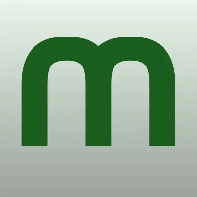 Магазин автозапчастей, ИП Михайлов М.А., лого-визитка